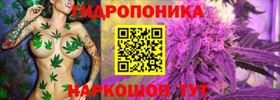 прущая мука Ачхой-Мартан