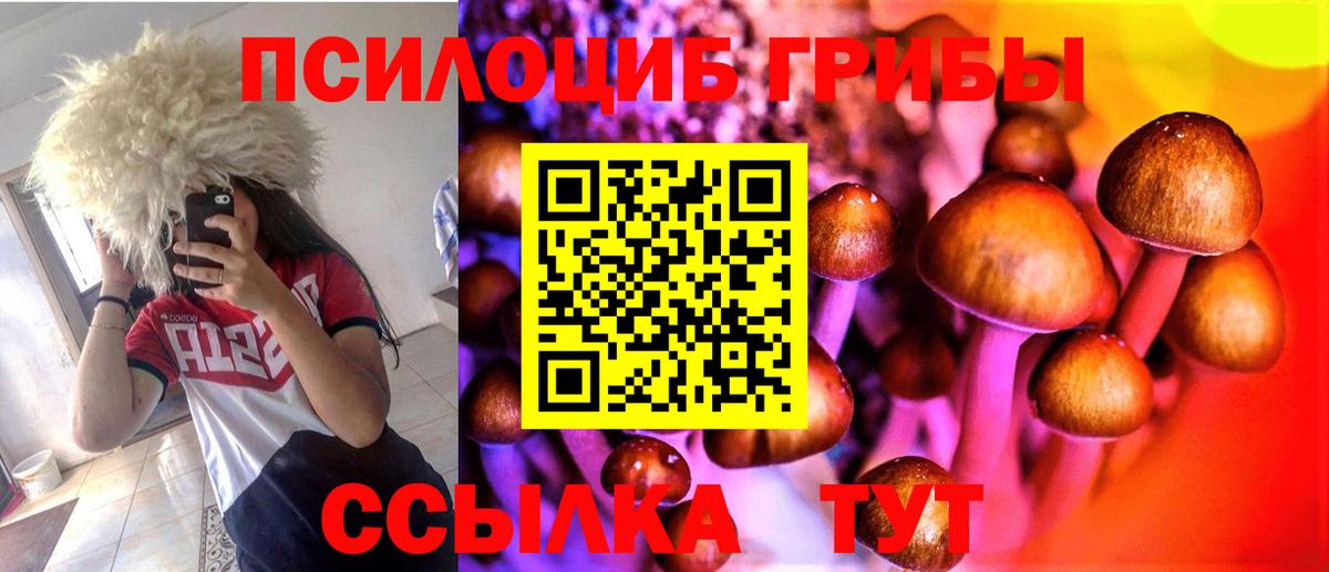 Галлюциногенные грибы Psilocybe  цена наркотик  Галлюциногенные грибы Psilocybe  Архангельск  Вход с VPN 